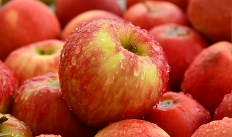 Виробник херсонських яблук освоює новий ринок замість проблемного кримського