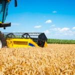 Прогноз экспорта пшеницы из Украины на 2023/2024 год: анализ и перспективы